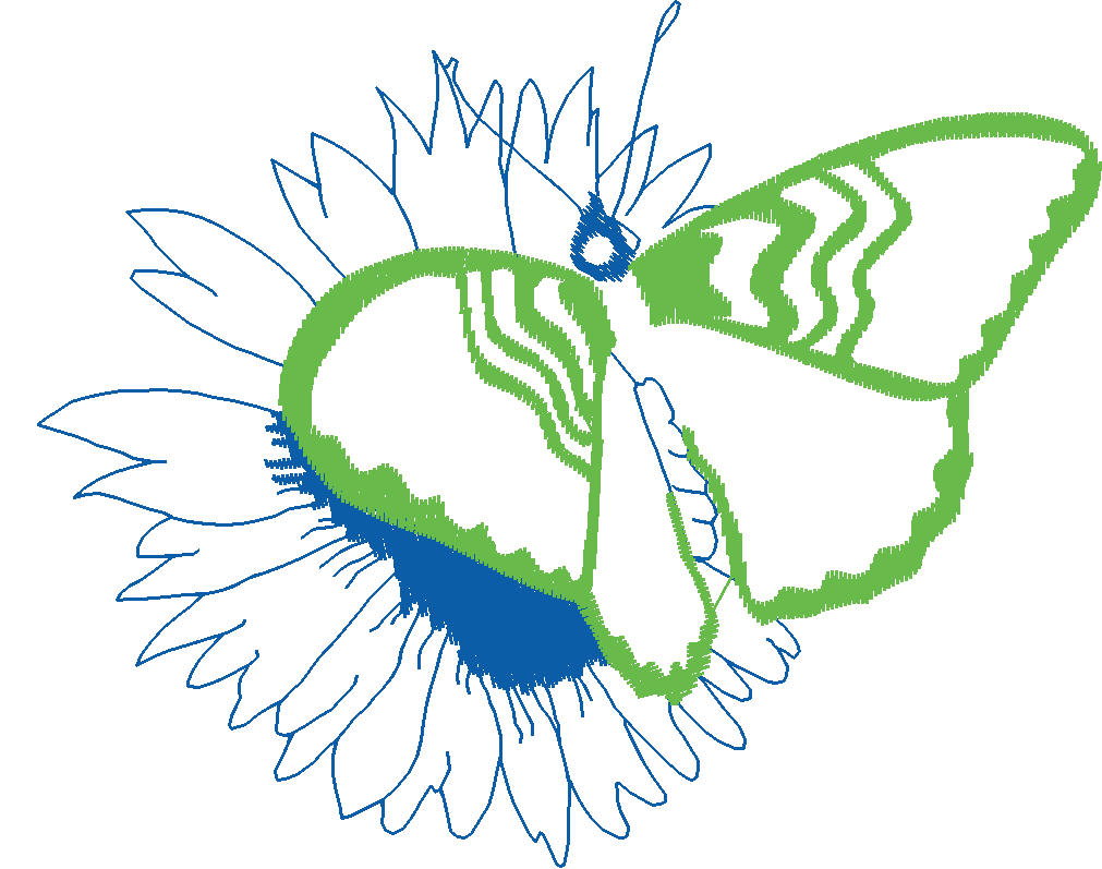 Butterflies 2  (11)