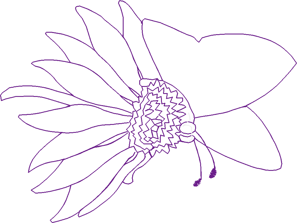 Butterflies 2  (19)