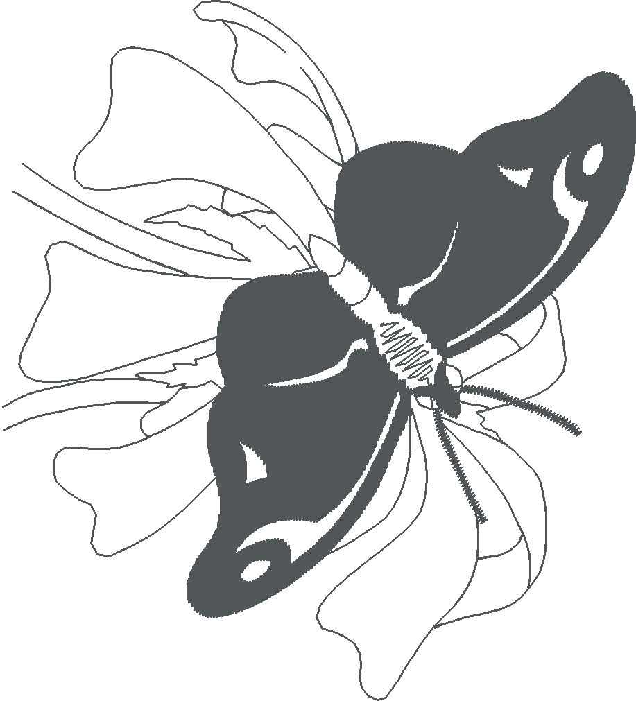 Butterflies 2  (32)