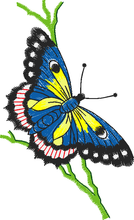 Butterflies 21  (17)