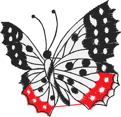 Butterflies 21  (27)