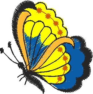 Butterflies 21  (32)