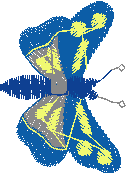 Butterflies 21  (37)