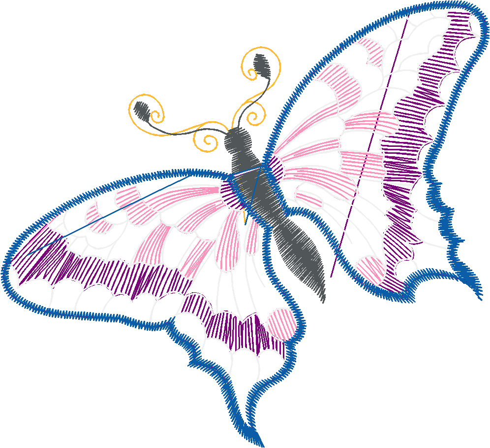 Butterflies 22 (13)