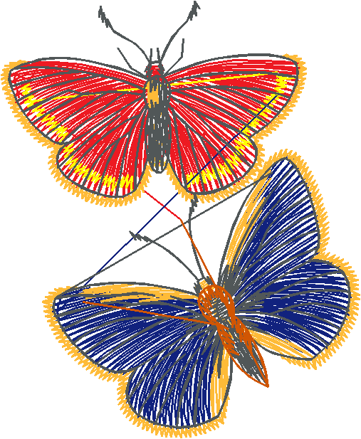 Butterflies 22 (17)