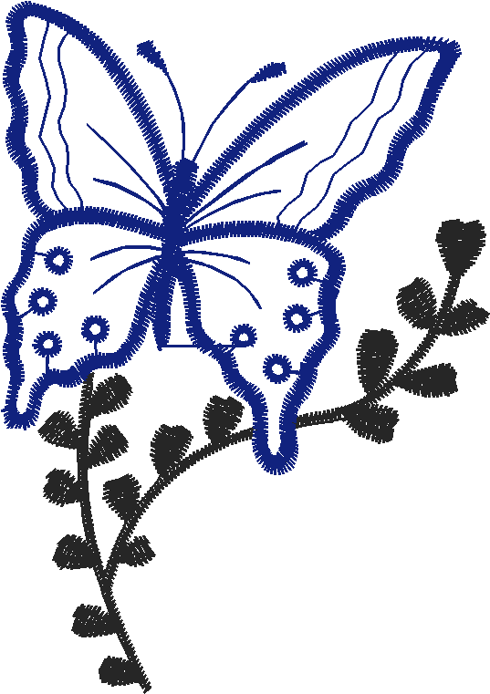 Butterflies 22 (2)