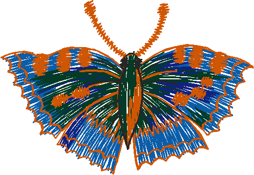 Butterflies 22 (28)