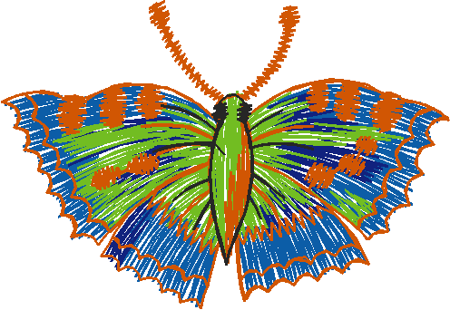 Butterflies 22 (29)