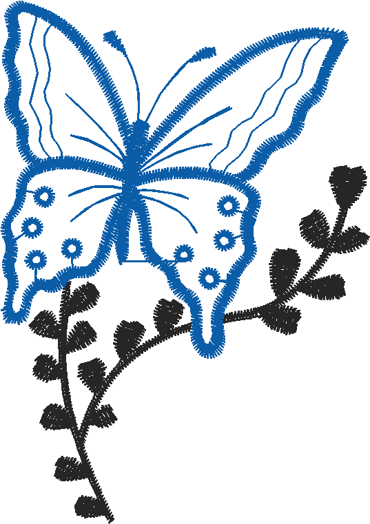Butterflies 22 (3)