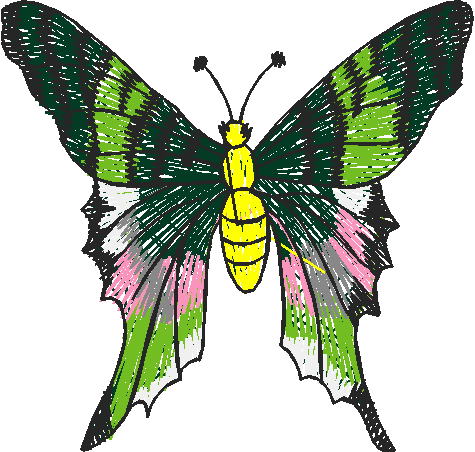 Butterflies 22 (32)