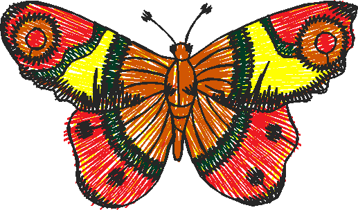 Butterflies 22 (34)