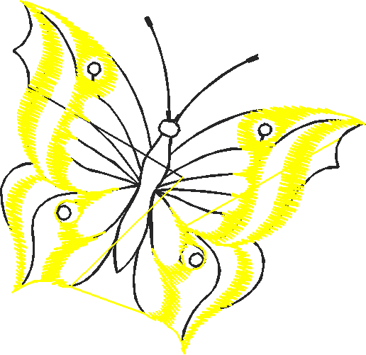 Butterflies 22 (46)