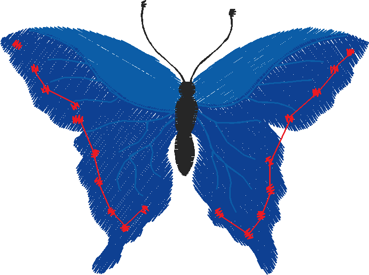 Butterflies 23 (30)