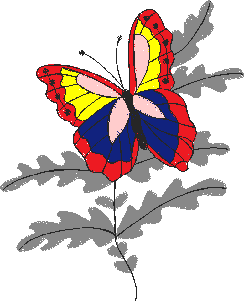 Butterflies 23 (37)
