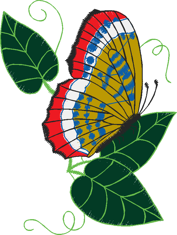 Butterflies 23 (48)