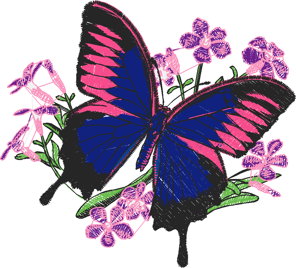 Butterflies 24 (16)