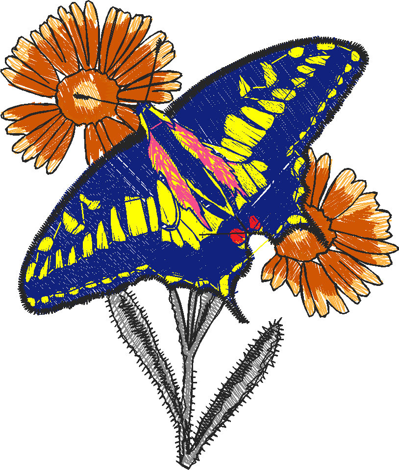 Butterflies 24 (18)