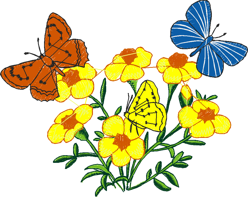 Butterflies 24 (22)