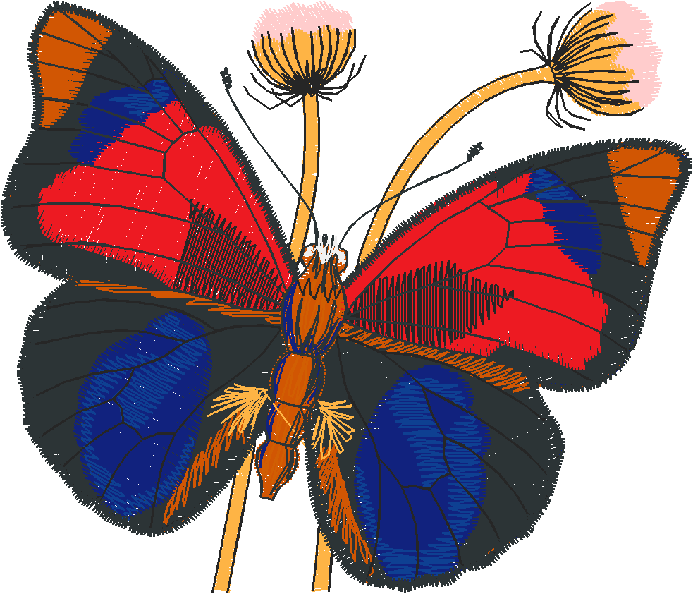 Butterflies 24 (25)