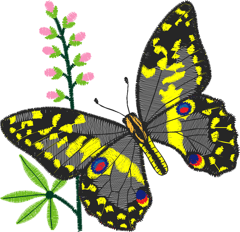 Butterflies 24 (28)