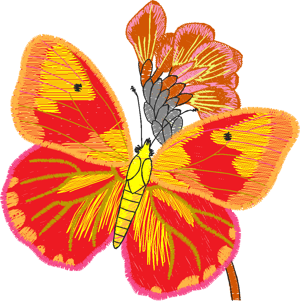 Butterflies 24 (31)