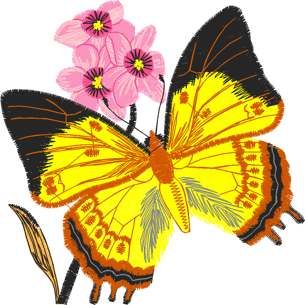 Butterflies 24 (35)