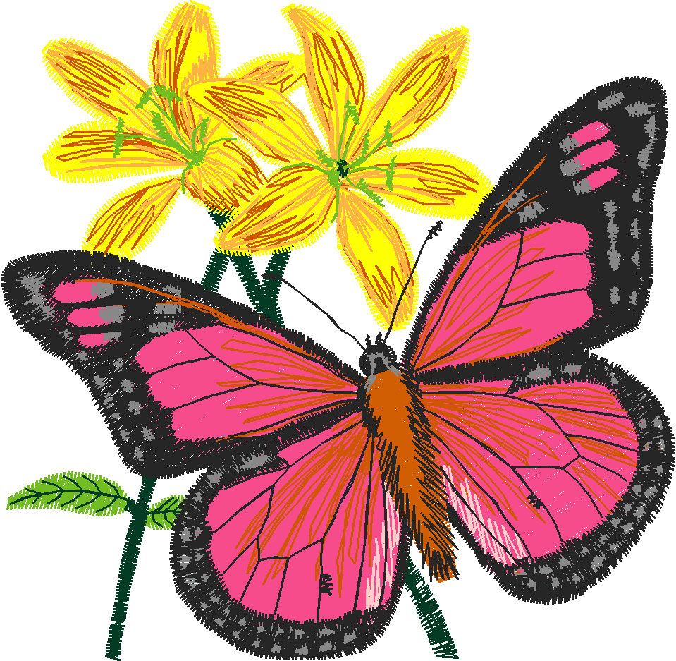Butterflies 24 (38)