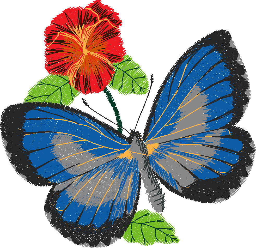 Butterflies 24 (40)
