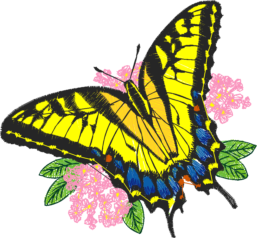 Butterflies 24 (5)