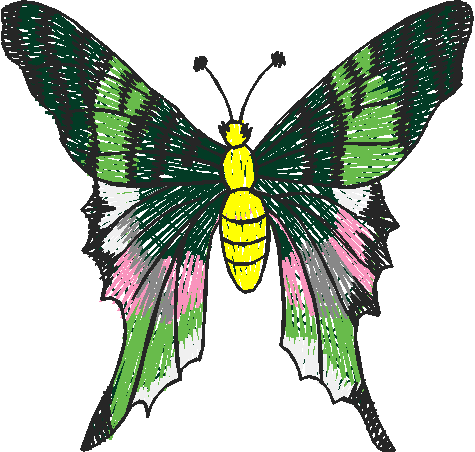 Butterflies 26 (13)
