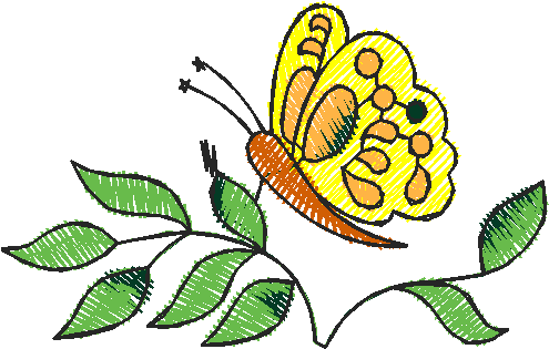 Butterflies 26 (16)