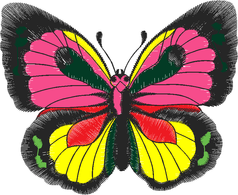 Butterflies 26 (28)