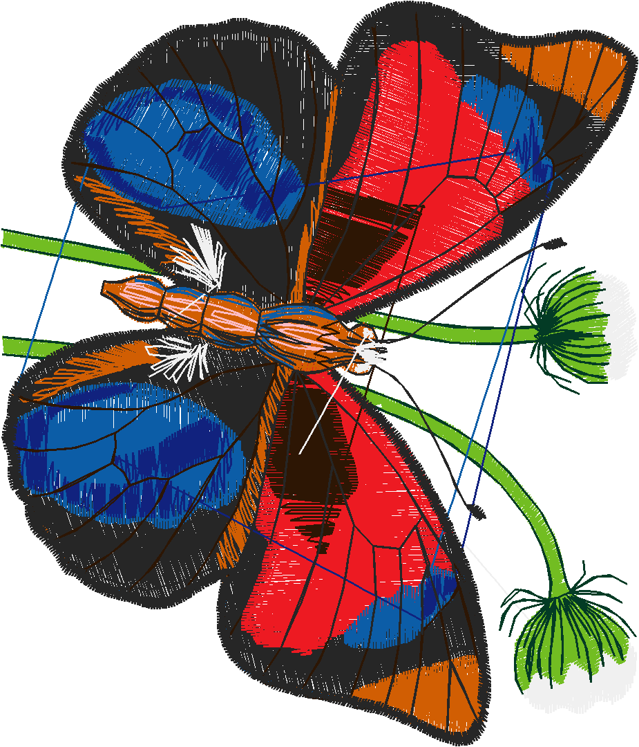 Butterflies 26 (33)