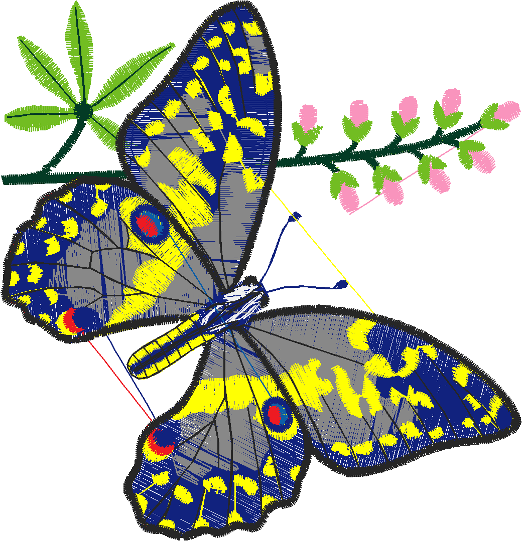 Butterflies 26 (34)