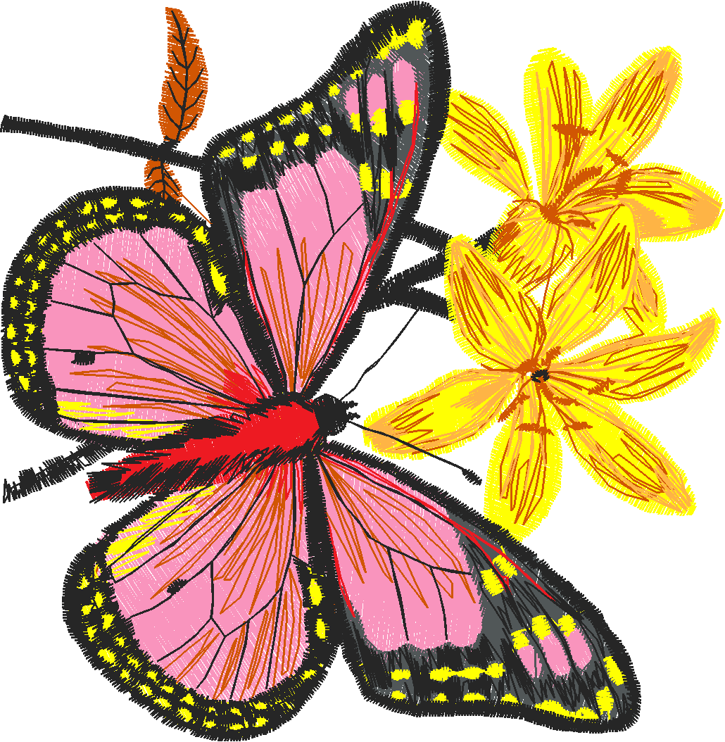 Butterflies 26 (39)