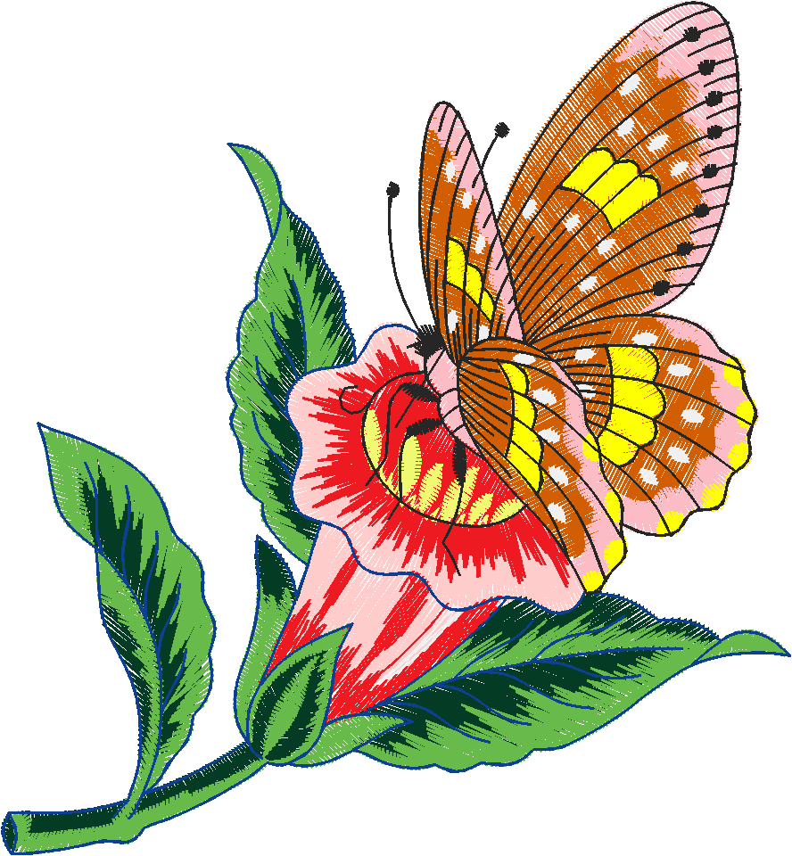 Butterflies 26 (47)