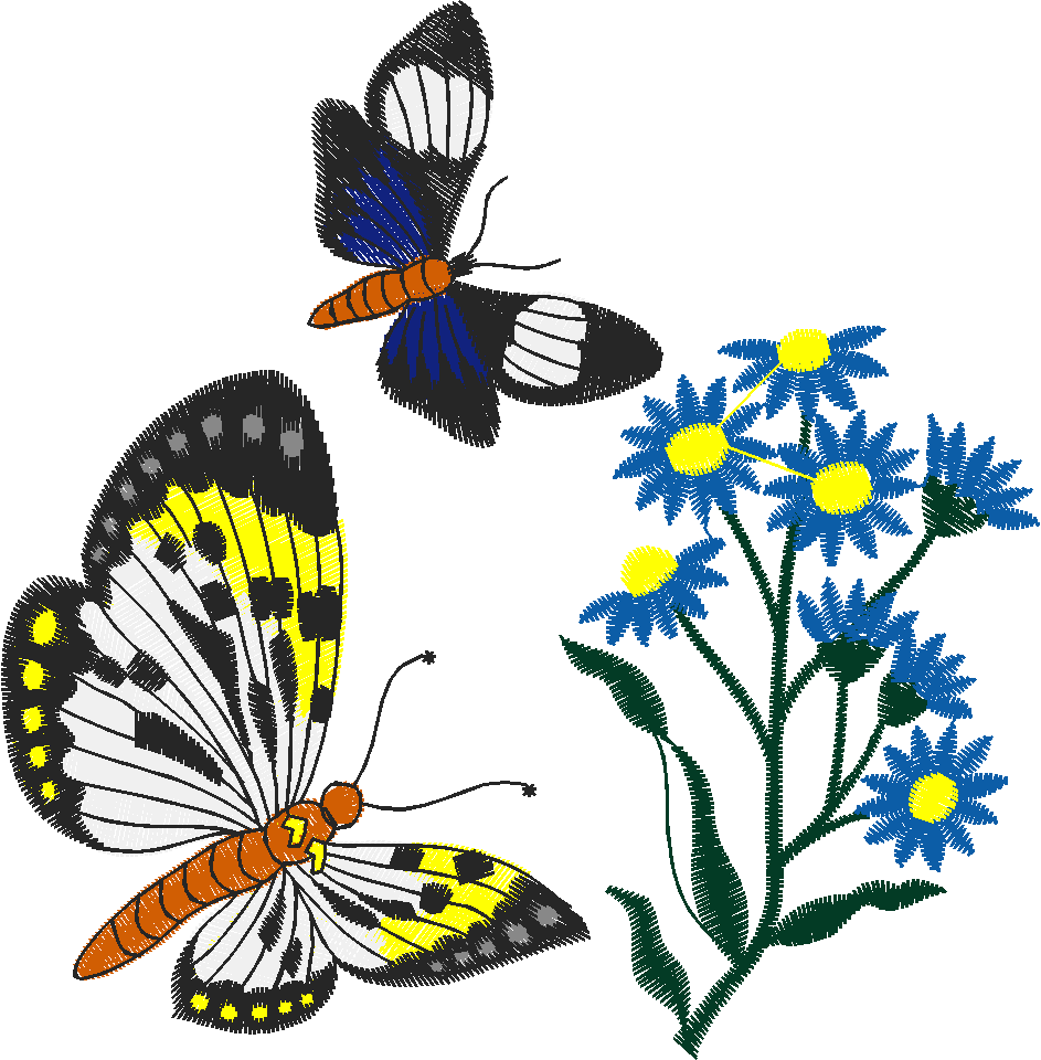 Butterflies 26 (49)