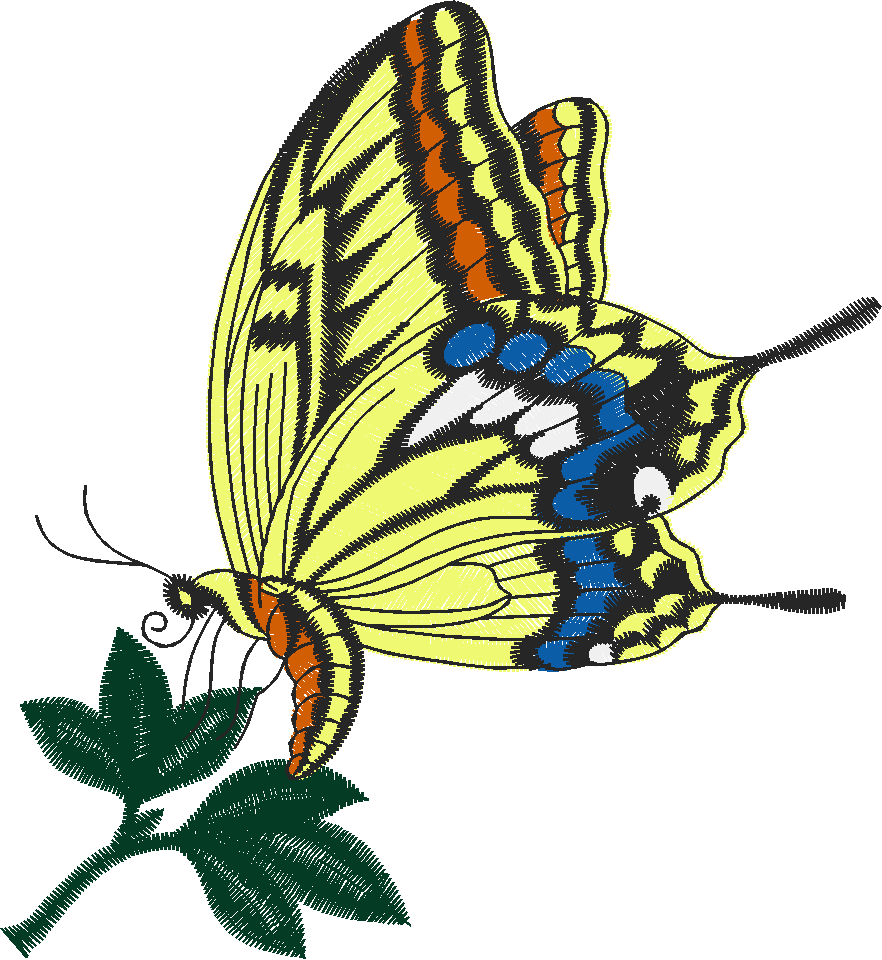 Butterflies 26 (50)