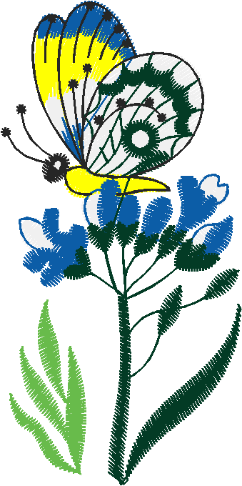 Butterflies 27 (10)