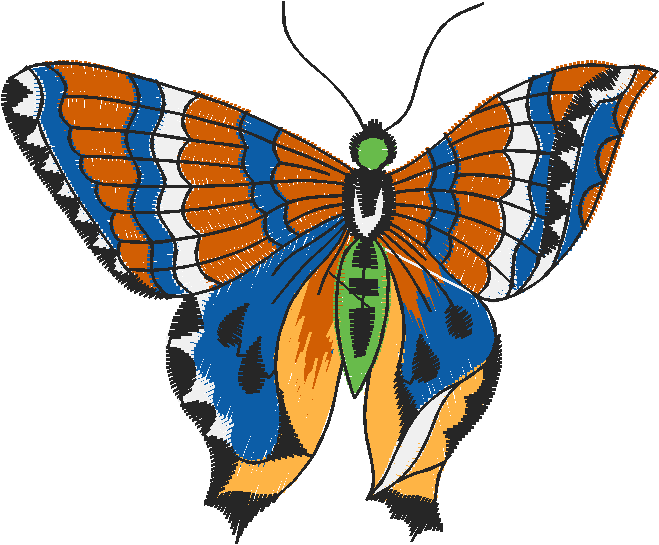 Butterflies 27 (16)
