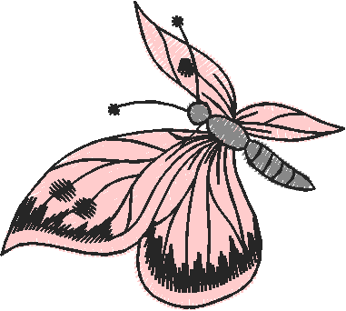 Butterflies 27 (17)