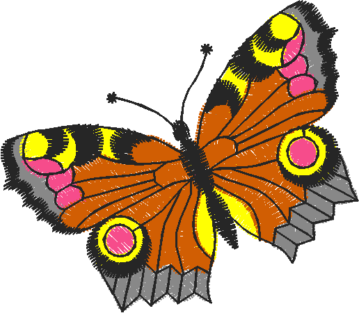 Butterflies 27 (21)