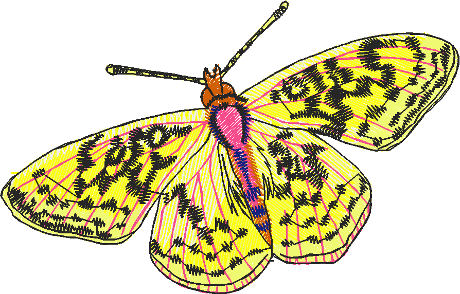 Butterflies 27 (28)