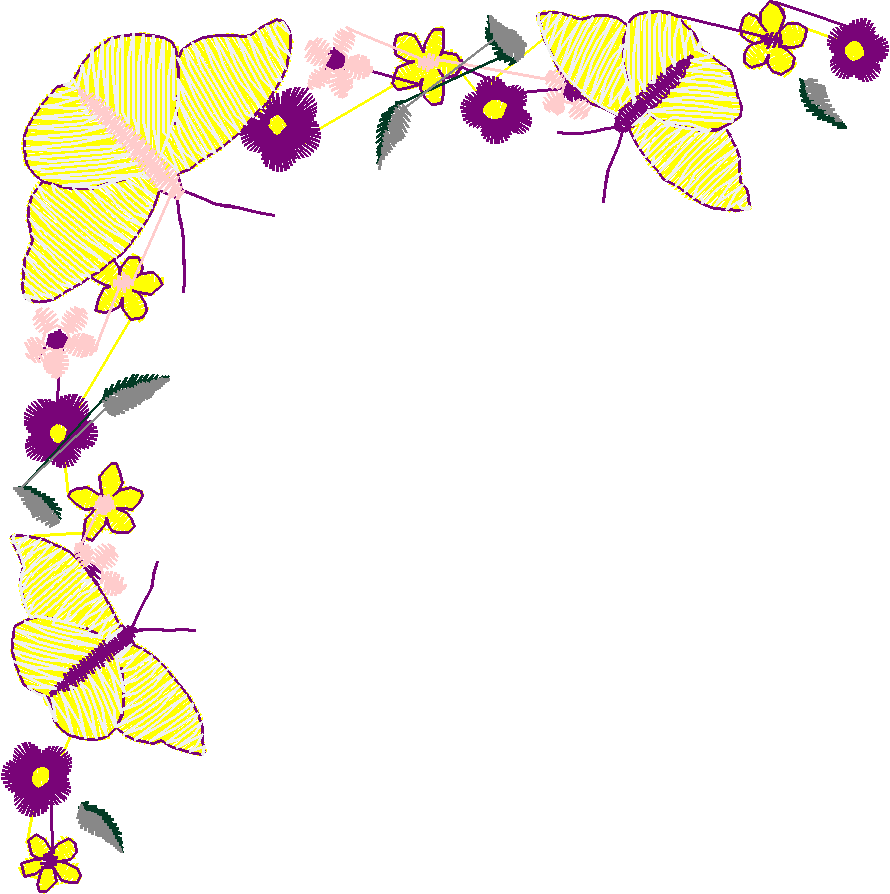 Butterflies 27 (31)