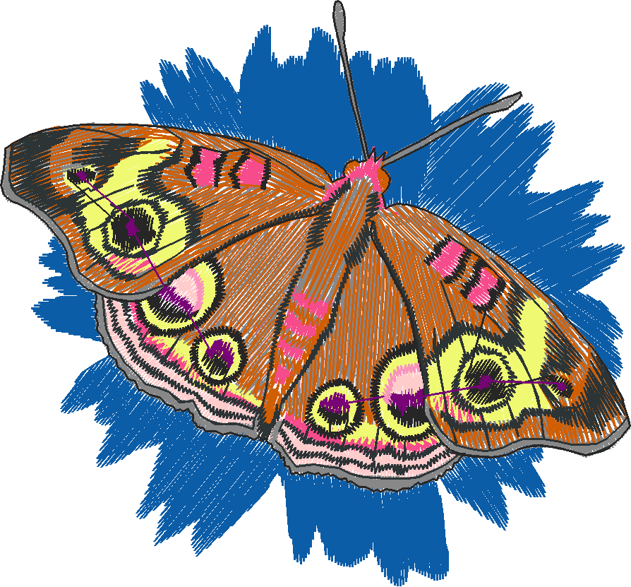 Butterflies 27 (32)