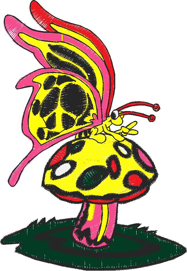 Butterflies 27 (36)