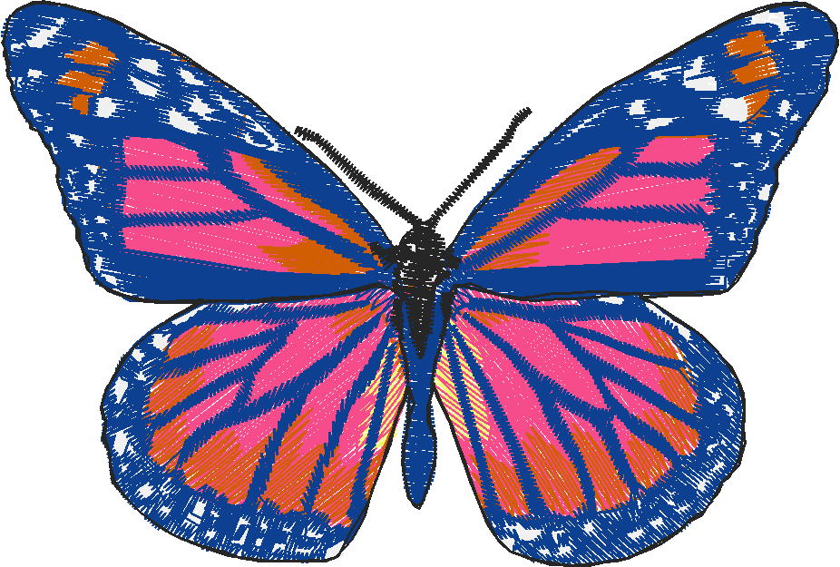 Butterflies 27 (38)