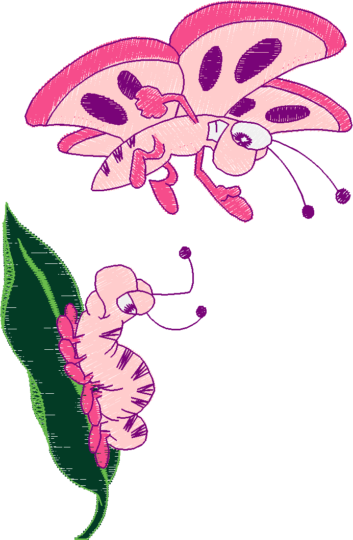 Butterflies 27 (39)