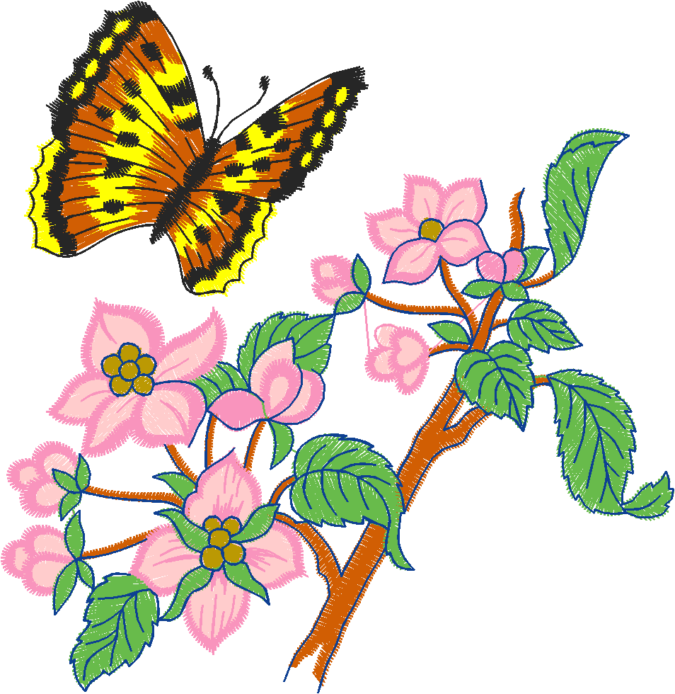 Butterflies 27 (4)
