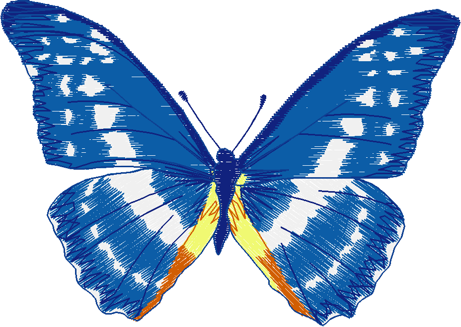 Butterflies 27 (40)